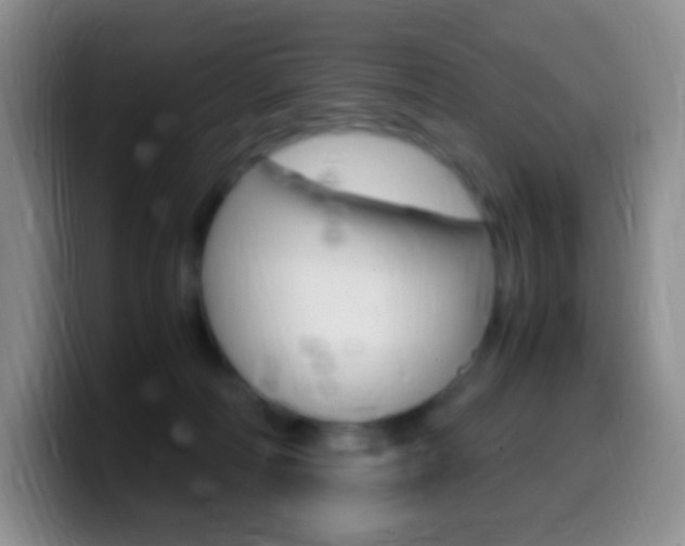 X0000099990226200805231050