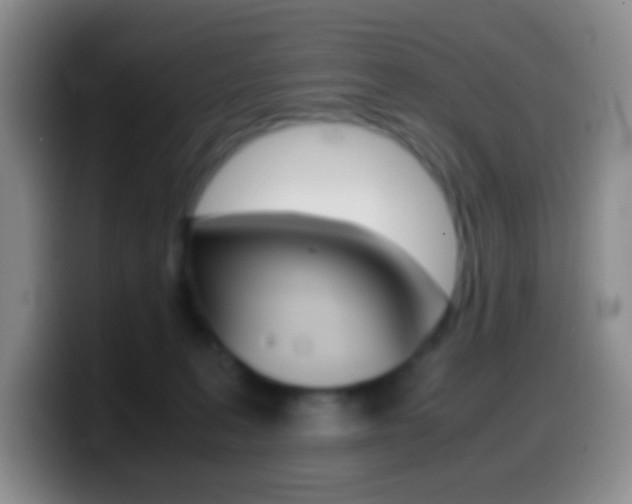 X0000099990227200805231050