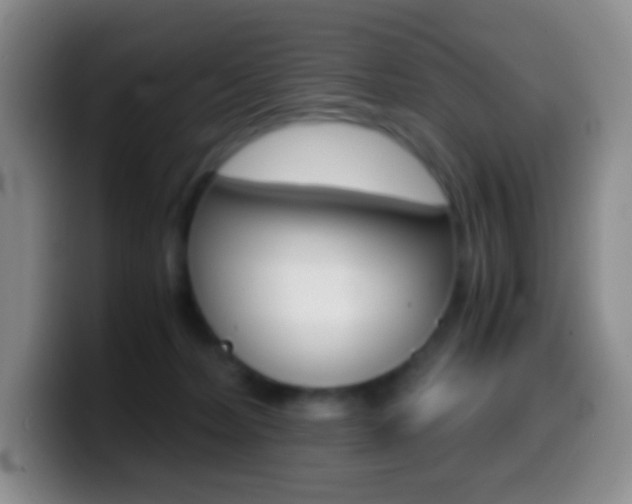 X0000099990228200805231050