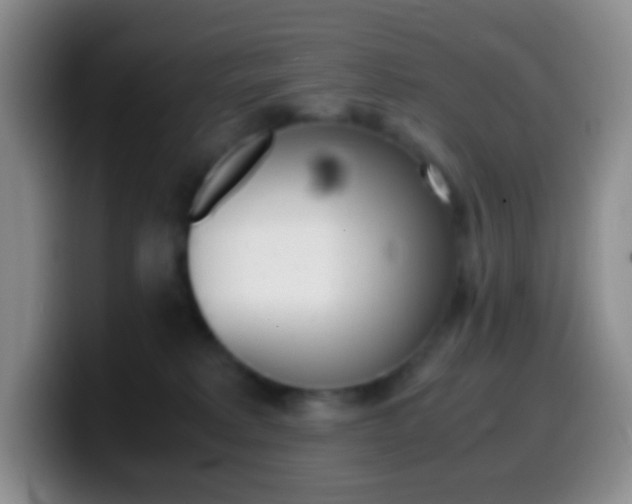 X0000099990229200805231050