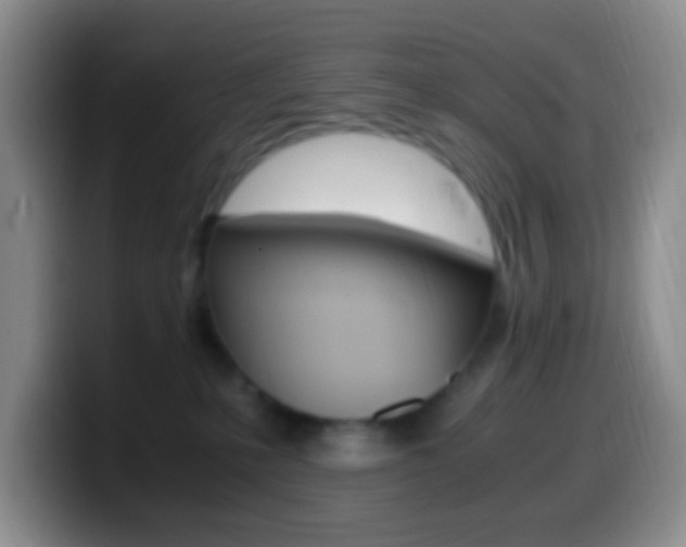 X0000099990231200805231050