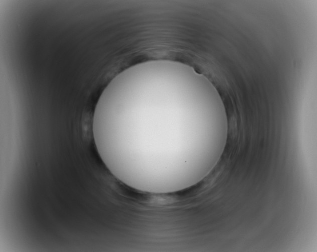 X0000099990234200805231050