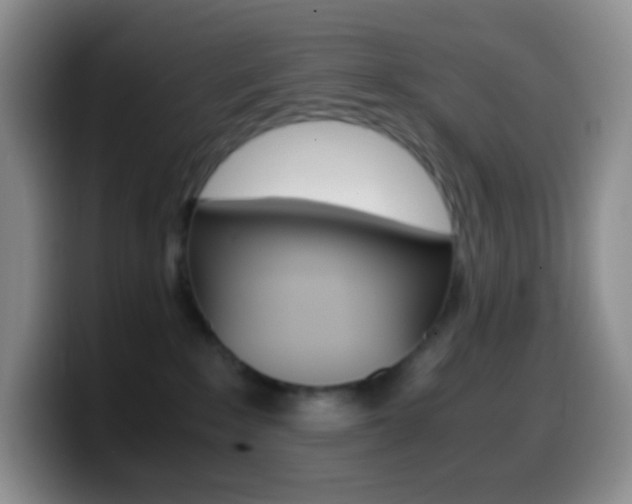 X0000099990235200805231050