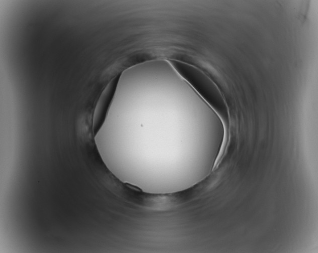 X0000099990237200805231050