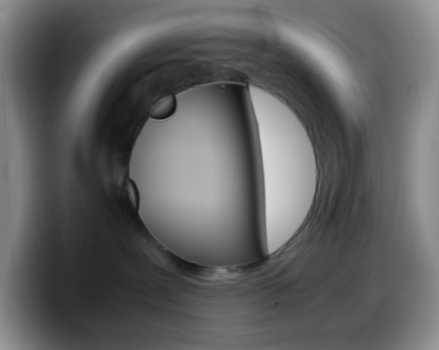 X0000099990239200805231050