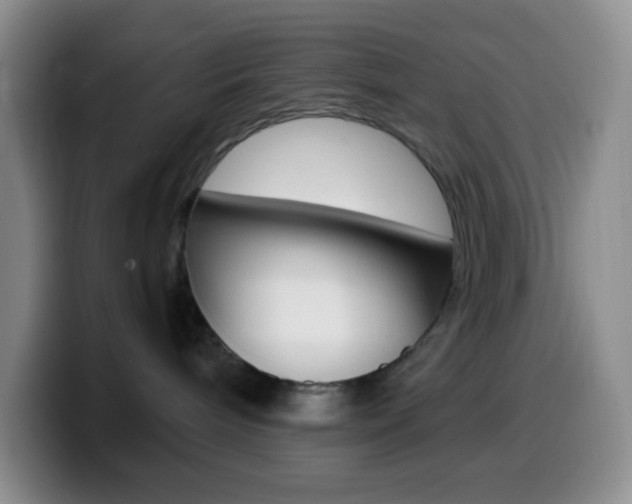 X0000099990240200805231050