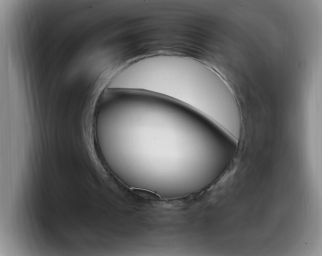 X0000099990241200805231050