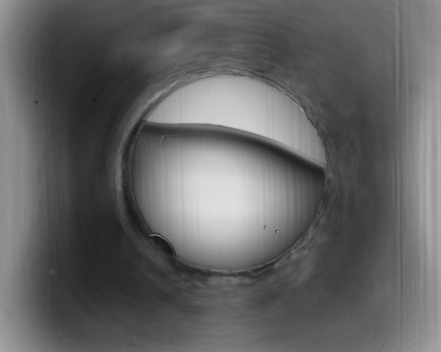 X0000099990242200805231050