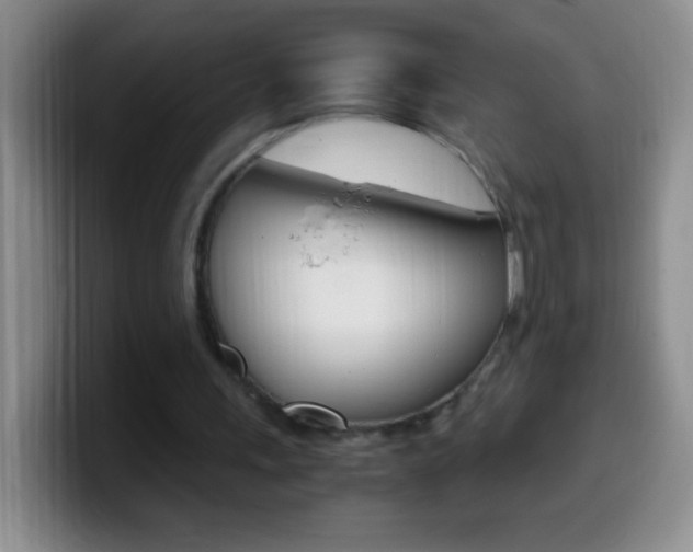 X0000099990243200805231050