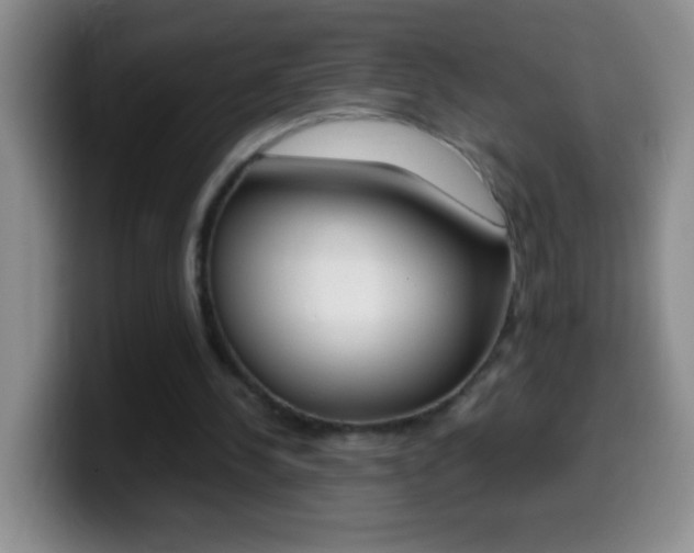 X0000099990244200805231050