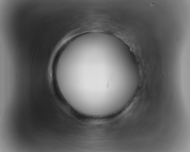 X0000099990246200805231050