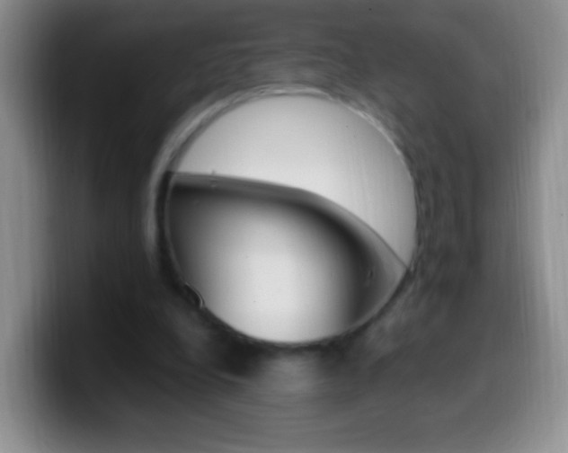 X0000099990248200805231050