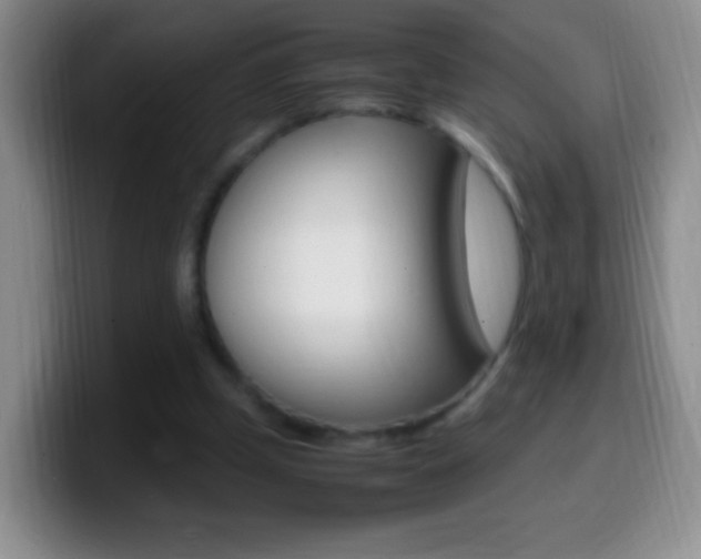 X0000099990249200805231050