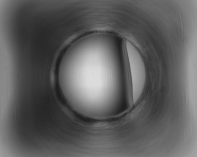 X0000099990252200805231050
