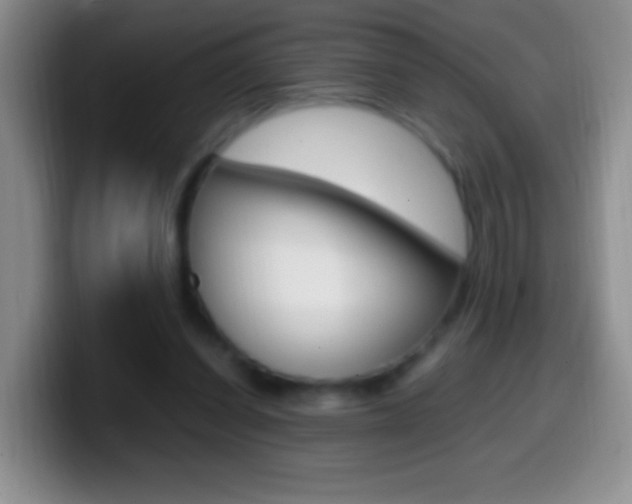 X0000099990254200805231050