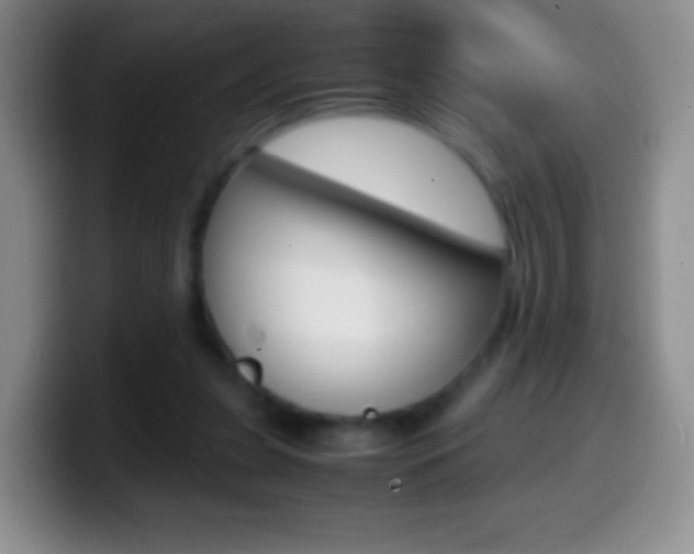 X0000099990255200805231050