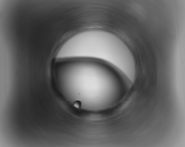 X0000099990256200805231050