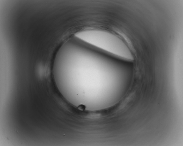 X0000099990257200805231050