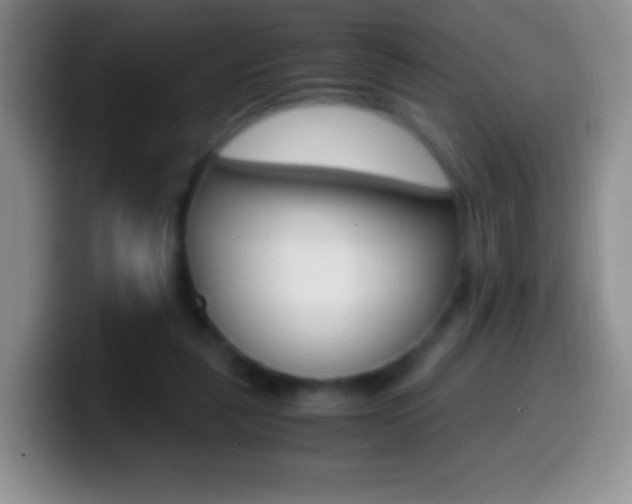 X0000099990259200805231050