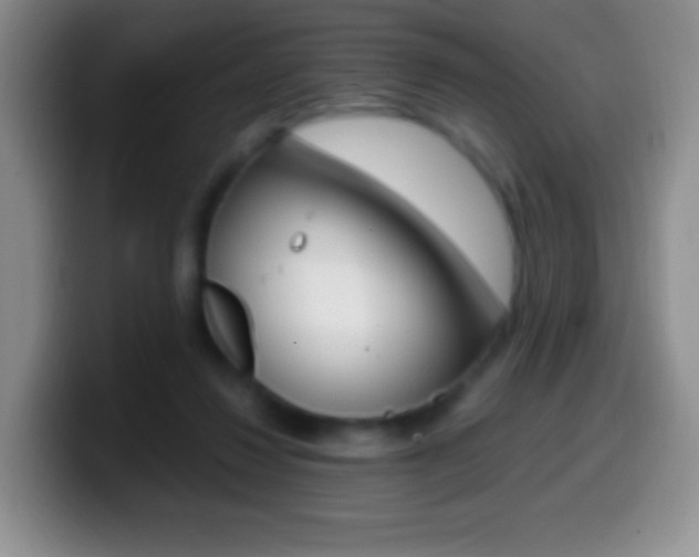 X0000099990260200805231050