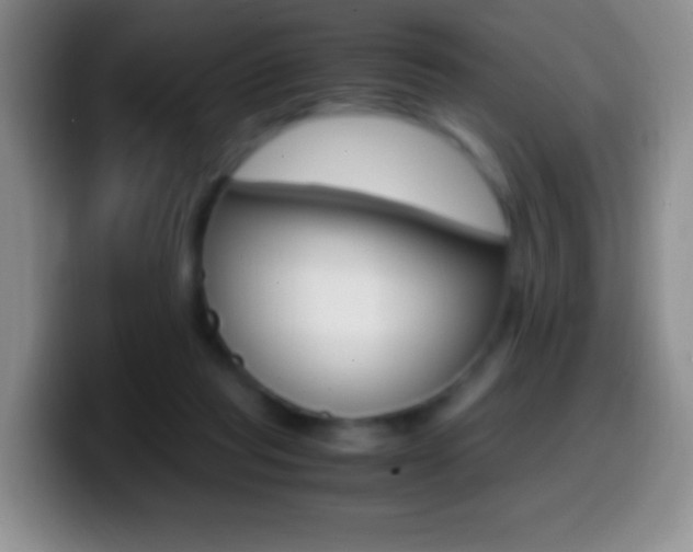 X0000099990261200805231050