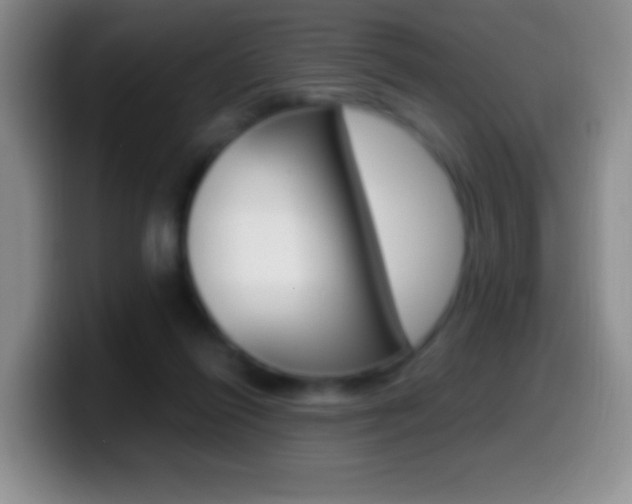 X0000099990262200805231050