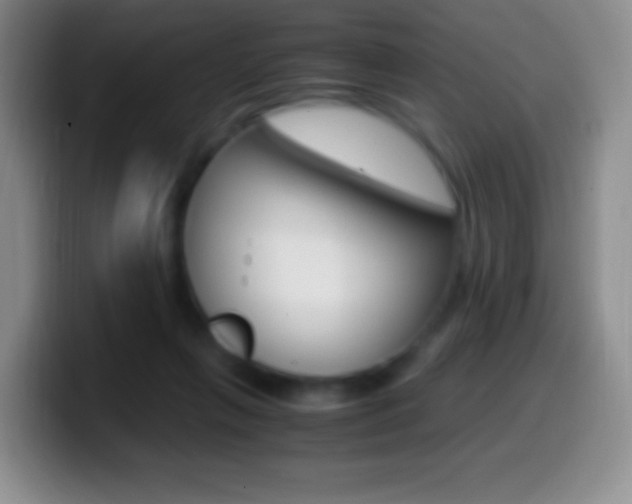 X0000099990263200805231050
