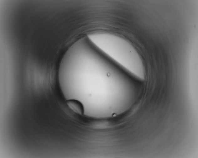X0000099990266200805231050