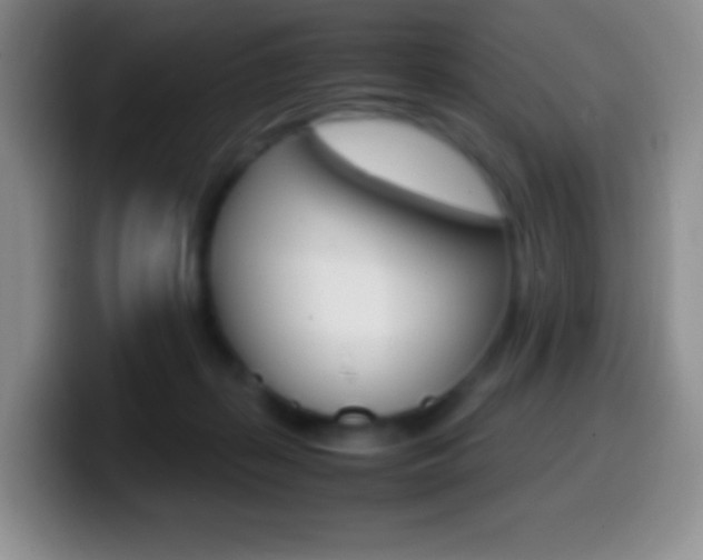 X0000099990267200805231050