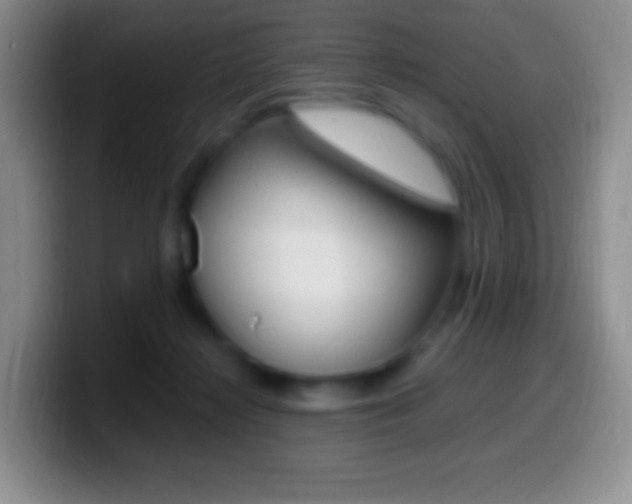 X0000099990268200805231050
