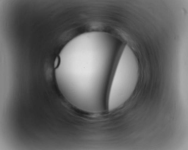 X0000099990269200805231050