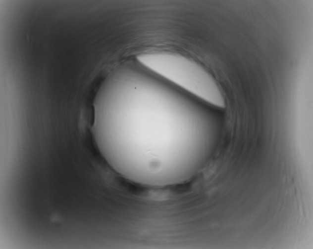X0000099990272200805231050