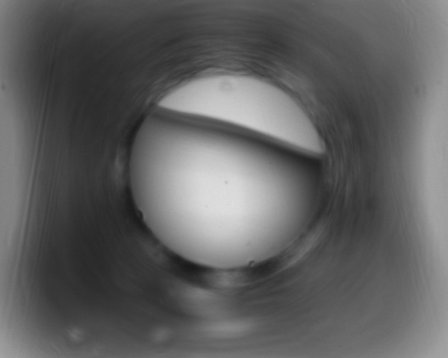 X0000099990273200805231050