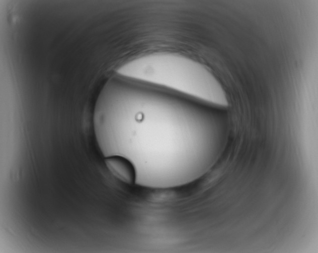 X0000099990274200805231050