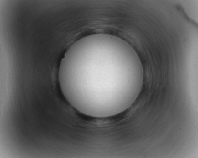 X0000099990275200805231050