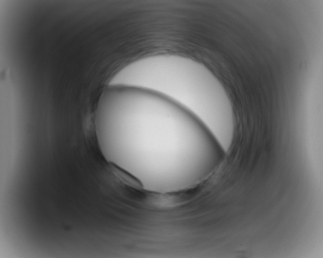 X0000099990276200805231050