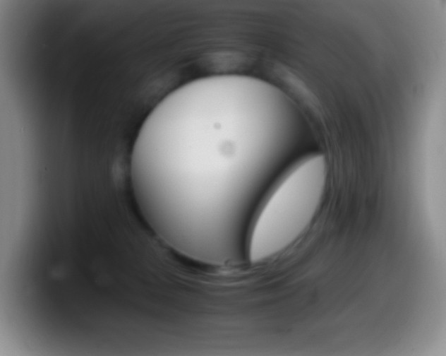 X0000099990277200805231050