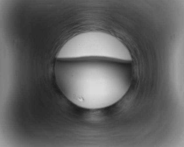 X0000099990278200805231050