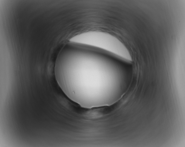 X0000099990280200805231050