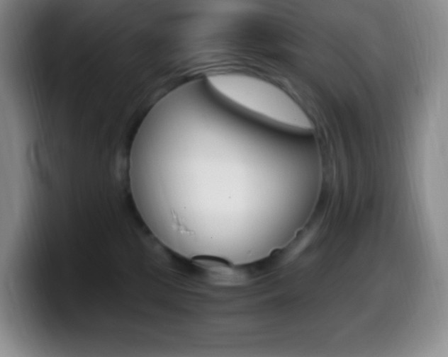 X0000099990281200805231050