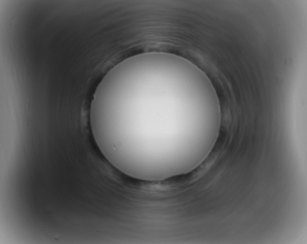X0000099990282200805231050