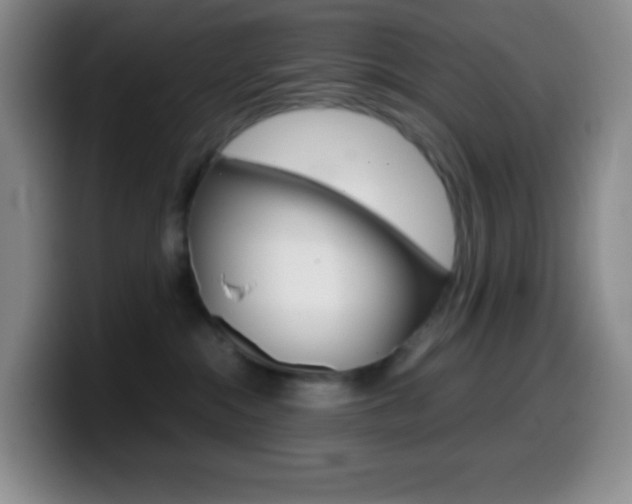 X0000099990284200805231050