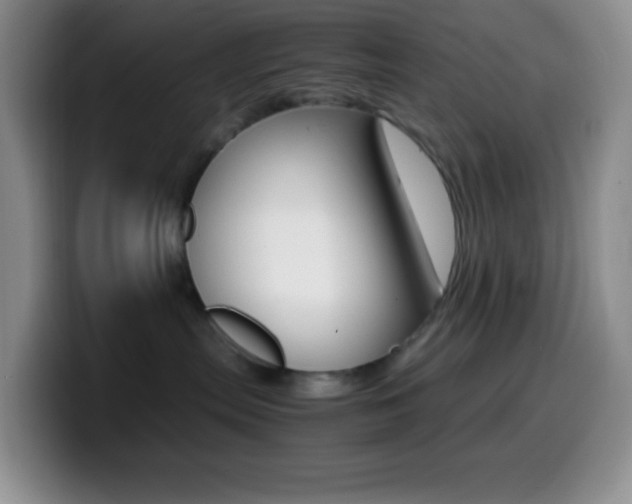 X0000099990287200805231050