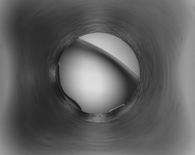X0000099990288200805231050