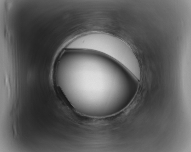 X0000099990292200805231050