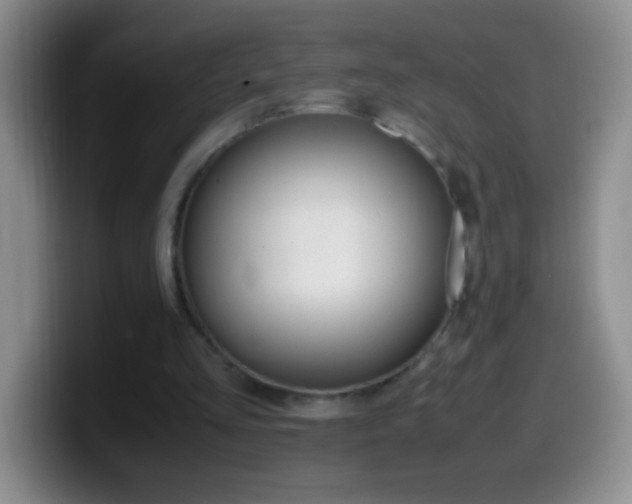 X0000099990293200805231050