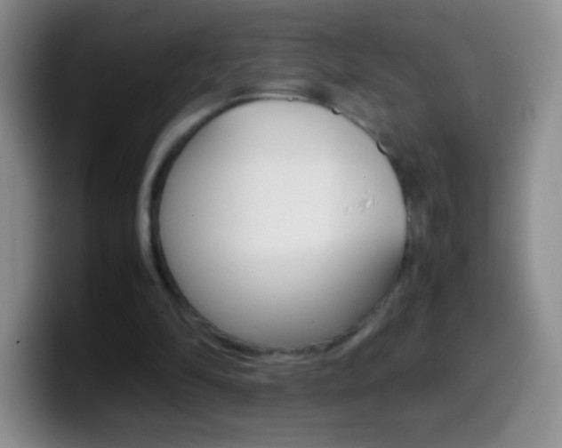 X0000099990294200805231049