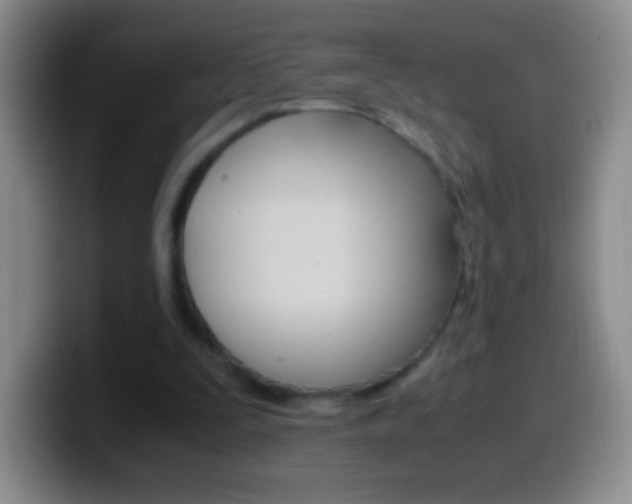 X0000099990295200805231049
