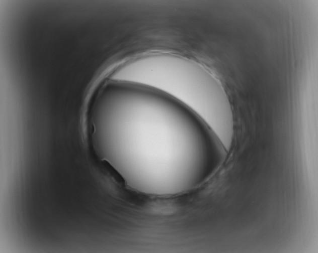 X0000099990296200805231049