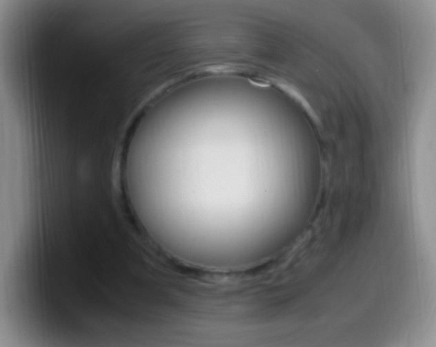 X0000099990297200805231049